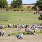 pubblico EIMA Show 2017 Umbria 2017