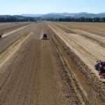 mietitrebbia EIMA Show 2017 Umbria