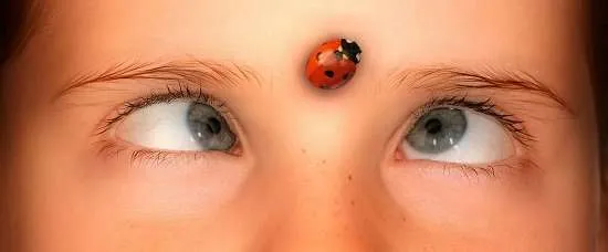 occhi e coccinella