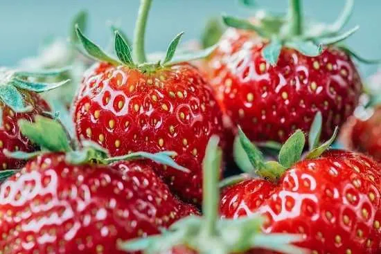 fragole
