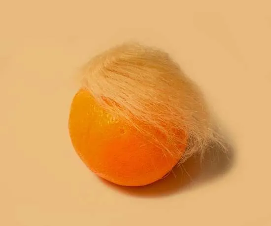 arancia con ciuffo trump