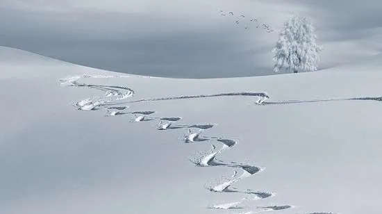 piste da sci