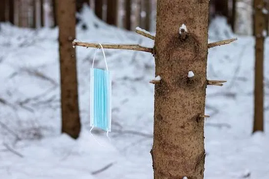 albero neve con mascherina