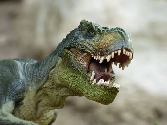 tirannosauro