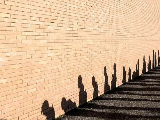 coda ombre sul muro