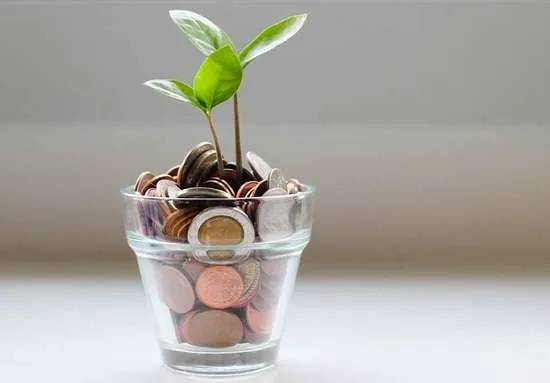 bicchiere con soldi e piantina