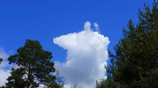 peppa pig sotto forma di nuvola