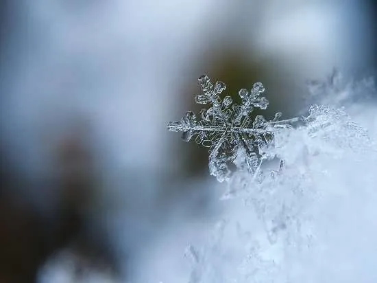 neve
