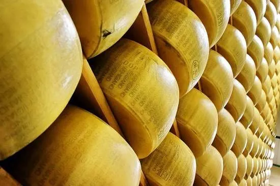 forme parmigiano-reggiano