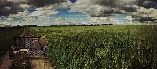 campo grano