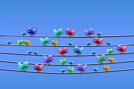 twitter