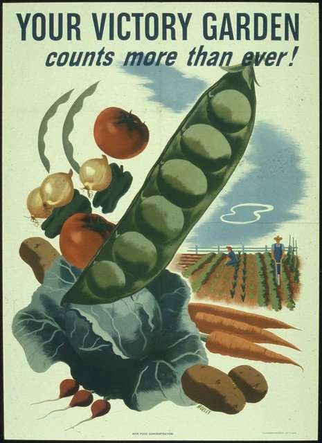 poster victory gardens