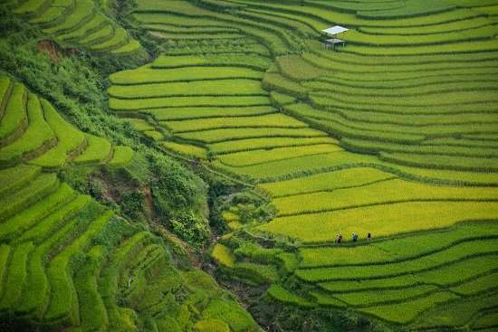 vietnam