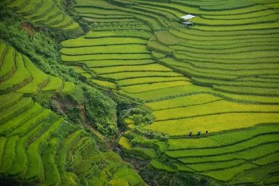 vietnam