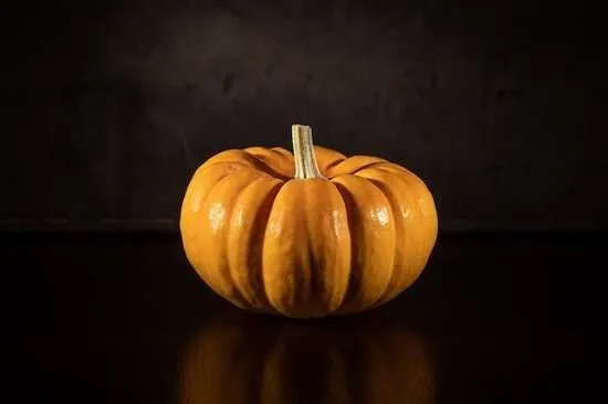 zucca