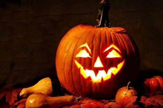 zucca
