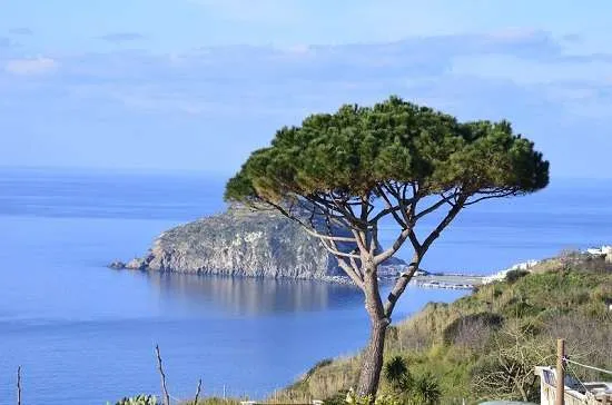 ischia