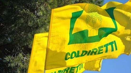 coldiretti bandiera