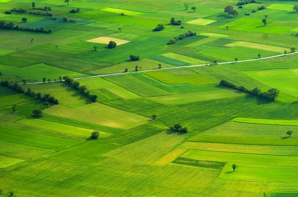 prati verdi. vista aerea