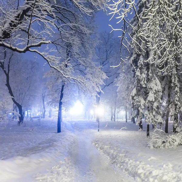 neve