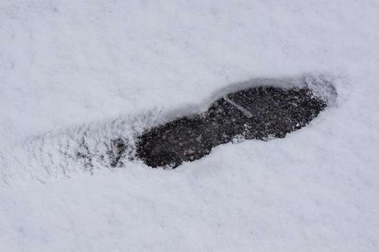 neve e pece