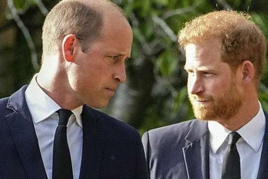 Harry e William