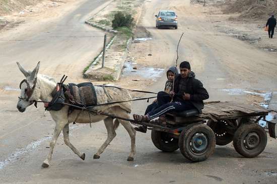 gaza bambini su carretto
