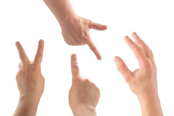 mani che contano su fondo bianco